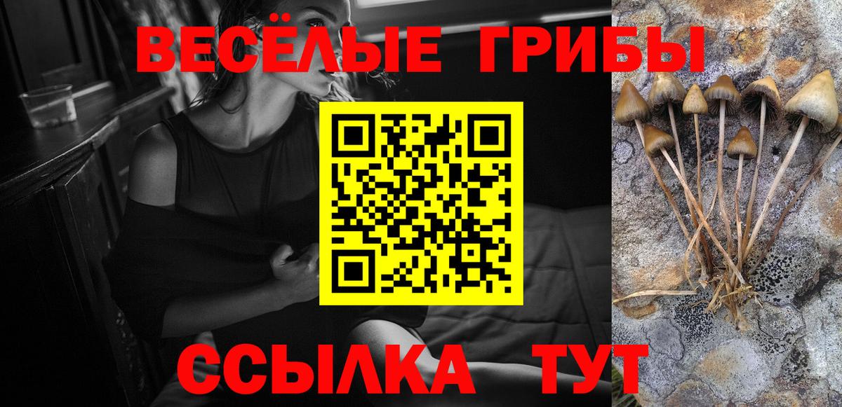Долгопрудный  продажа наркотиков  Вход с VPN  Псилоцибиновые грибы ЛСД 