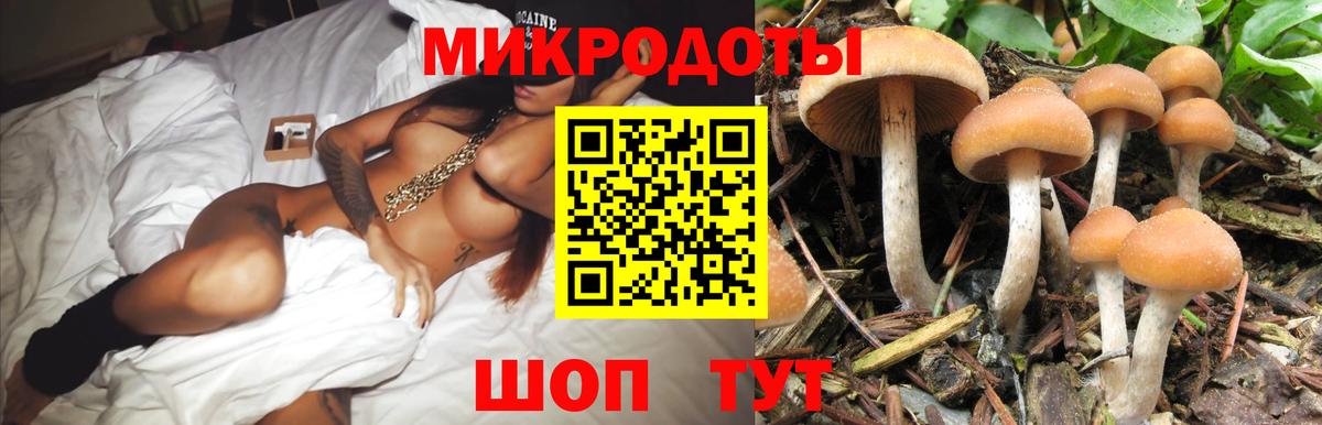 Галлюциногенные грибы Cubensis Долгопрудный